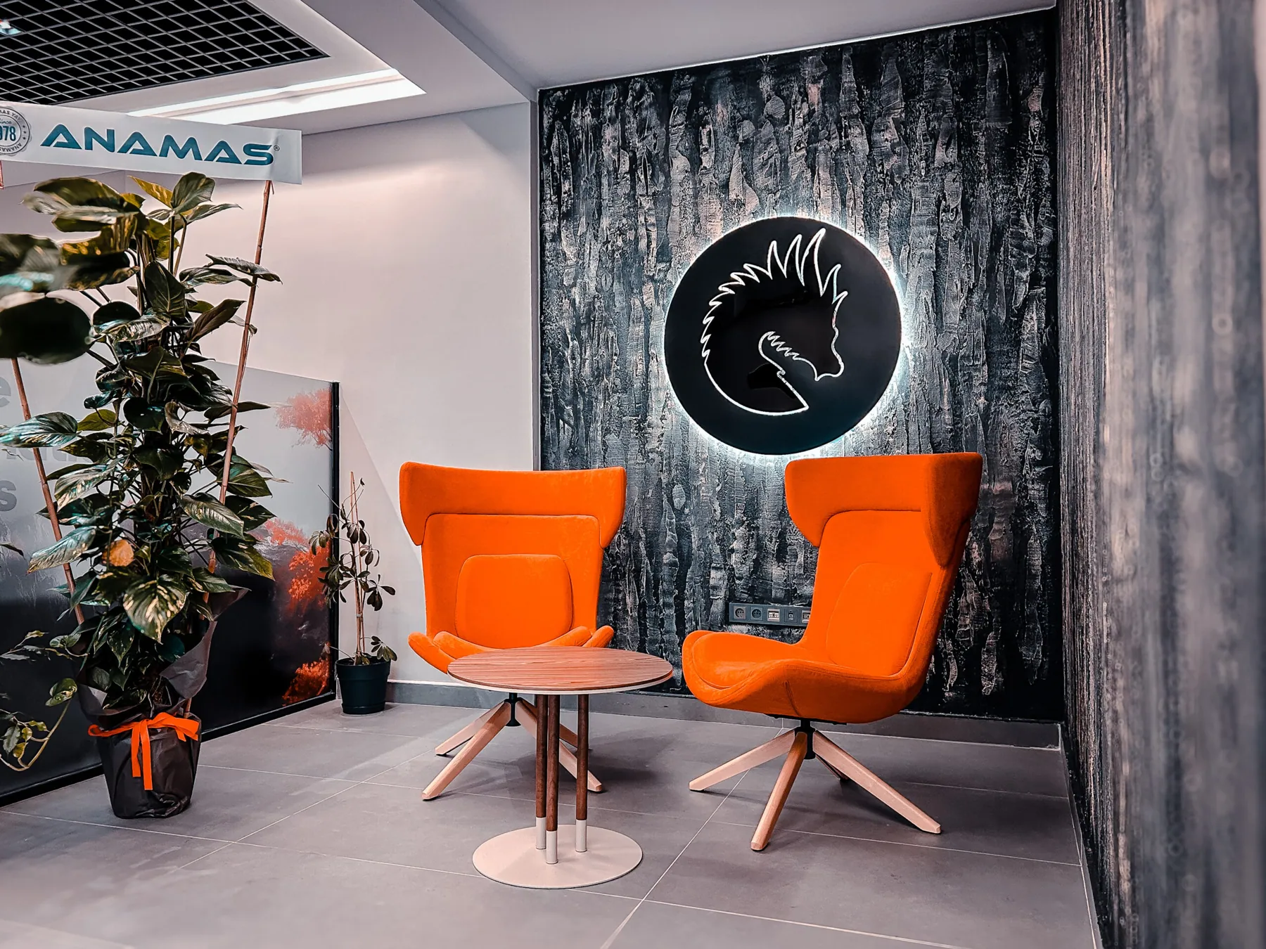 Adshubcreative giriş alanı