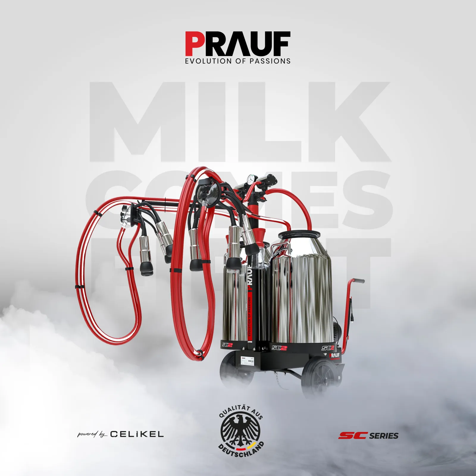 Prauf – 4